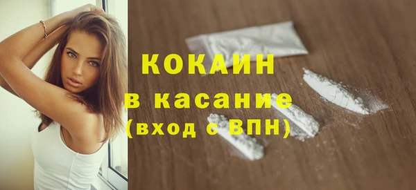 твердый Мегион