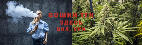 соль ск Медногорск