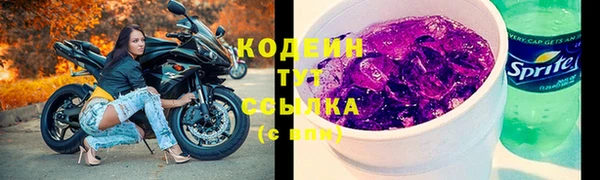 СК Медвежьегорск