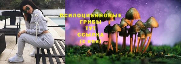 соль ск Медногорск