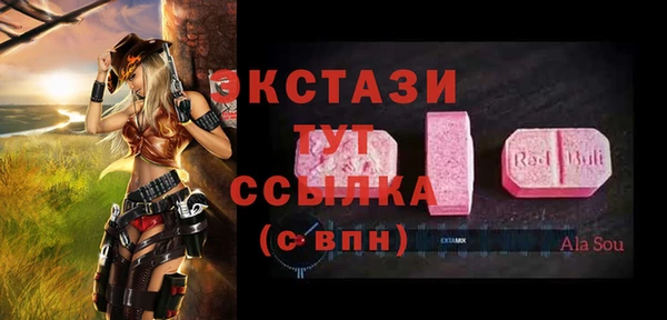 СК Медвежьегорск
