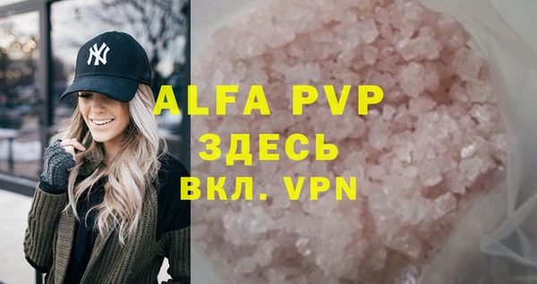 СК Медвежьегорск